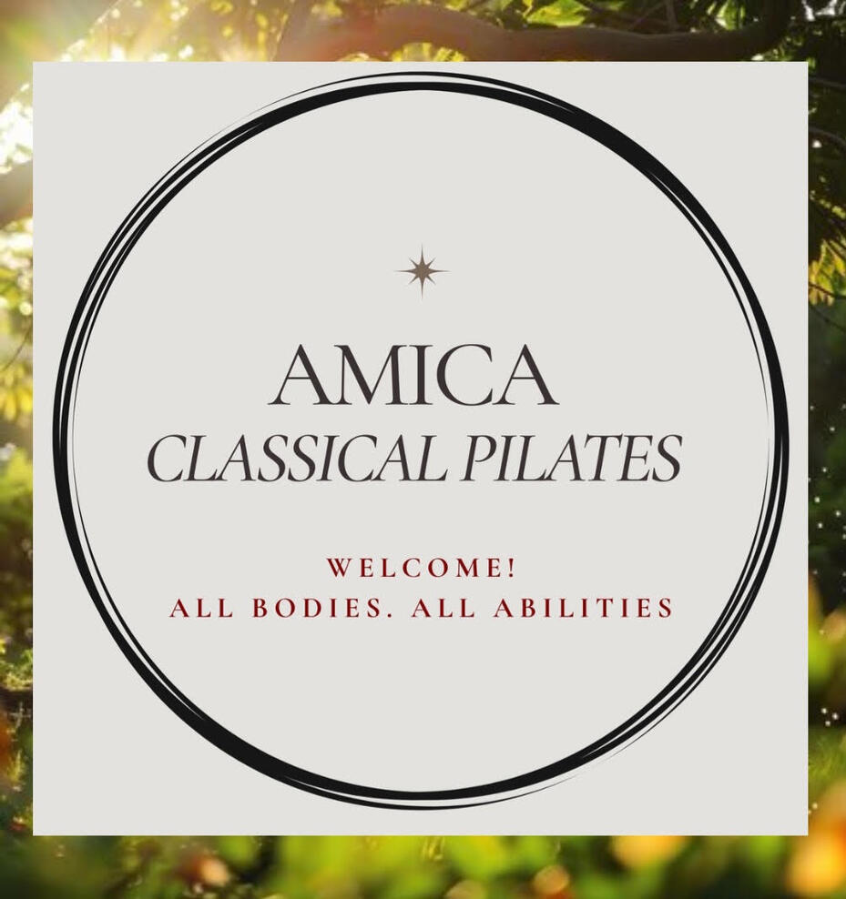 Amica logo